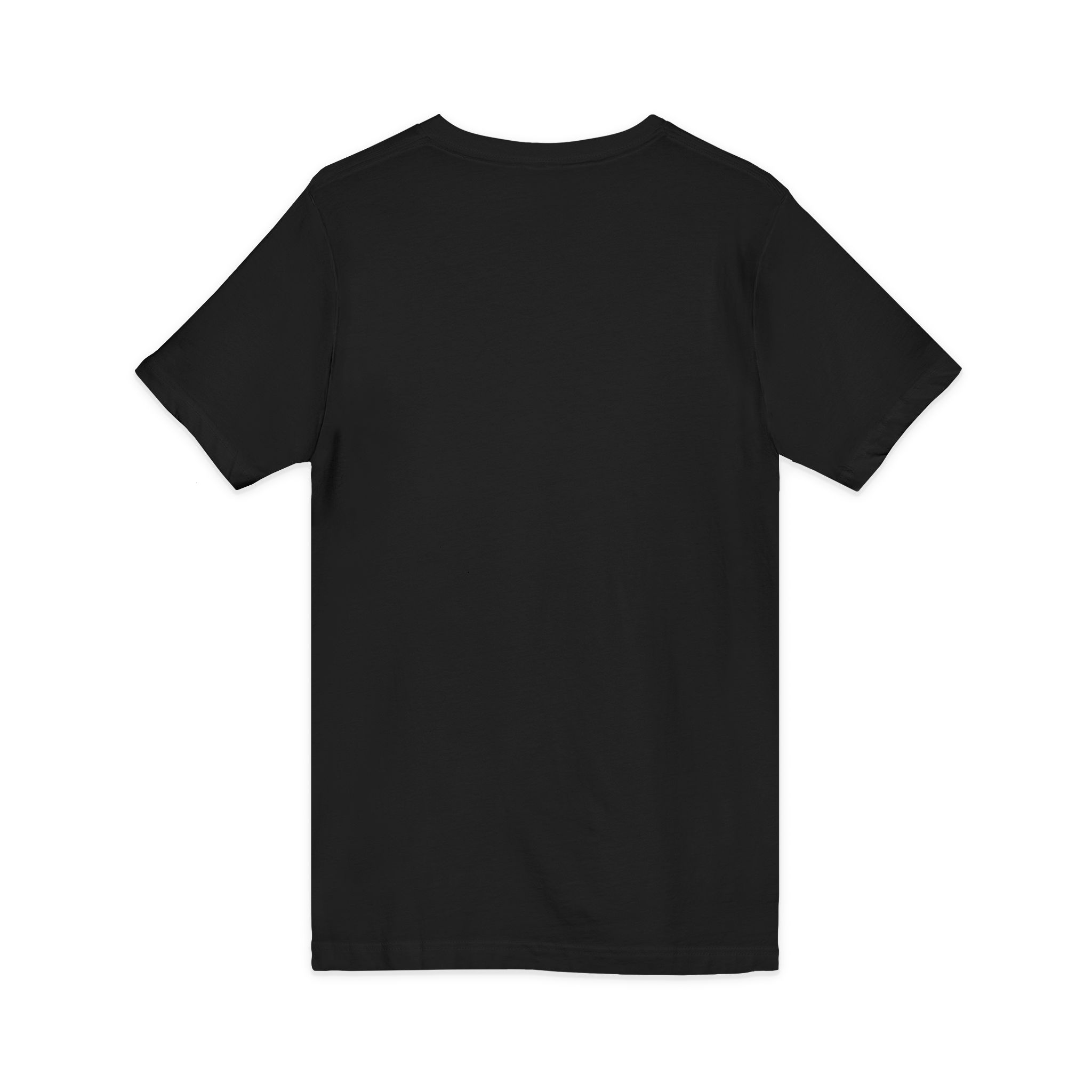 Love Birds V-Neck Tee — Cute Pair of Birds Holding Heart - Image 16