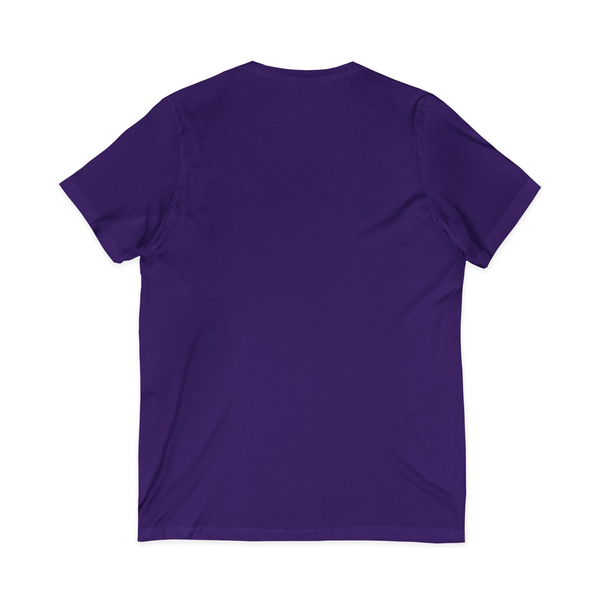 Love Birds V-Neck Tee — Cute Pair of Birds Holding Heart - Image 42