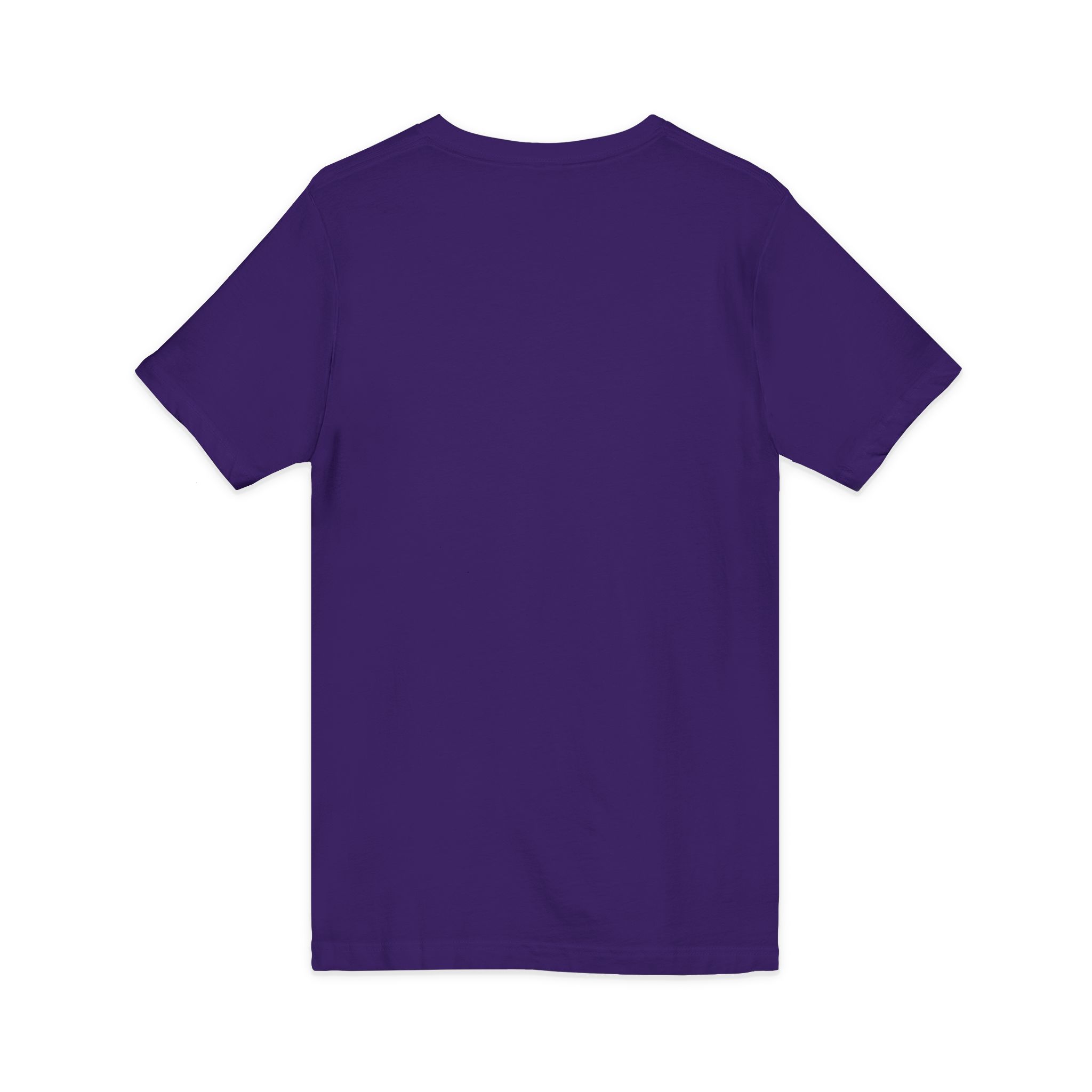 Love Birds V-Neck Tee — Cute Pair of Birds Holding Heart - Image 44