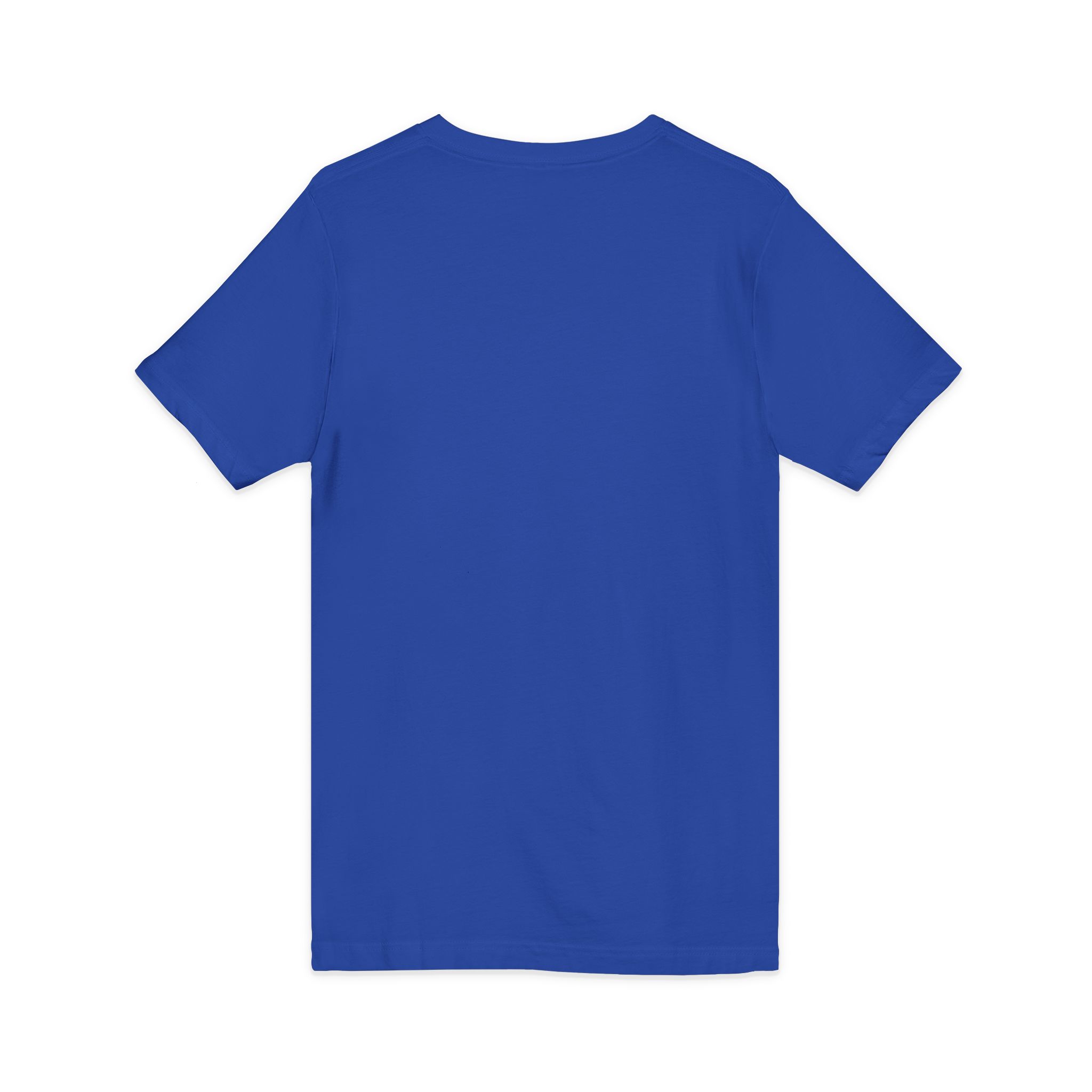 Love Birds V-Neck Tee — Cute Pair of Birds Holding Heart - Image 24