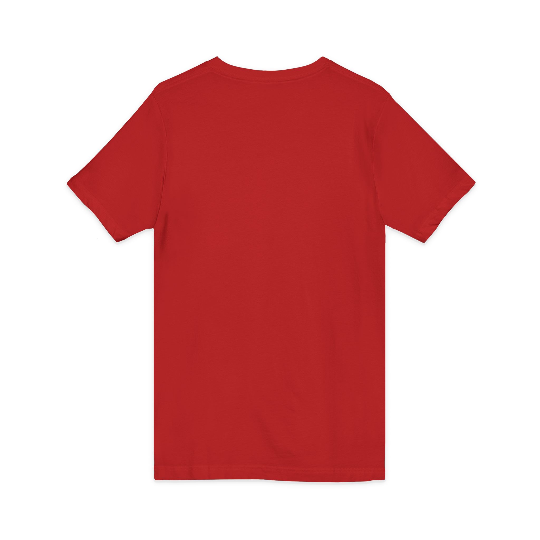 Love Birds V-Neck Tee — Cute Pair of Birds Holding Heart - Image 48