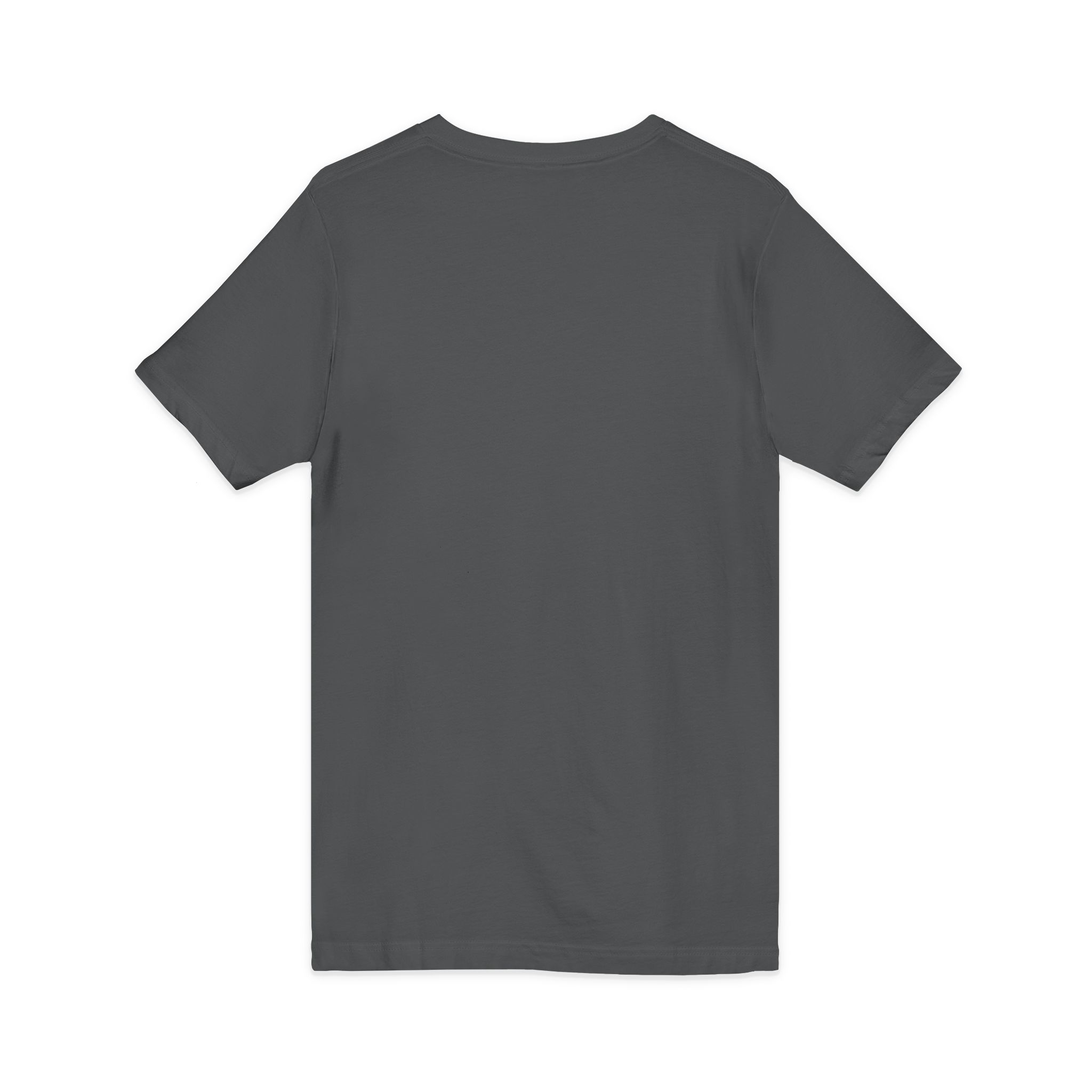 Zebra Pair V-Neck Tee — Matching Wild Zebra Illustration Shirt - Image 32